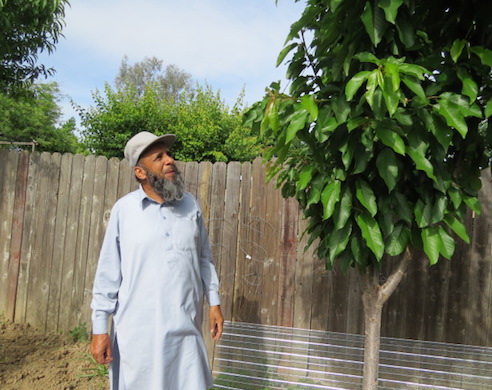 Man in white cap and light blue tunic standing by wooden fence with climbing green vines