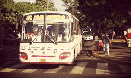 White public bus stopped at crosswalk on tree-lined street during daytime