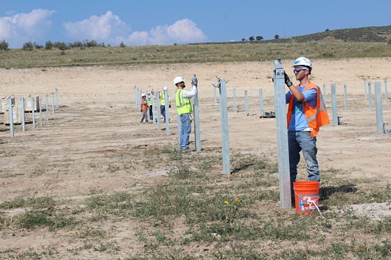 Construction workers in safety gear installing wooden posts in an open field under blue sky