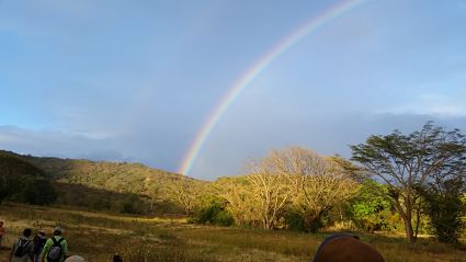 Nature's affirmation after completing the project.