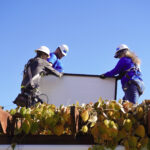 Four workers in hard hats and safety gear install solar panel on rooftop above plants