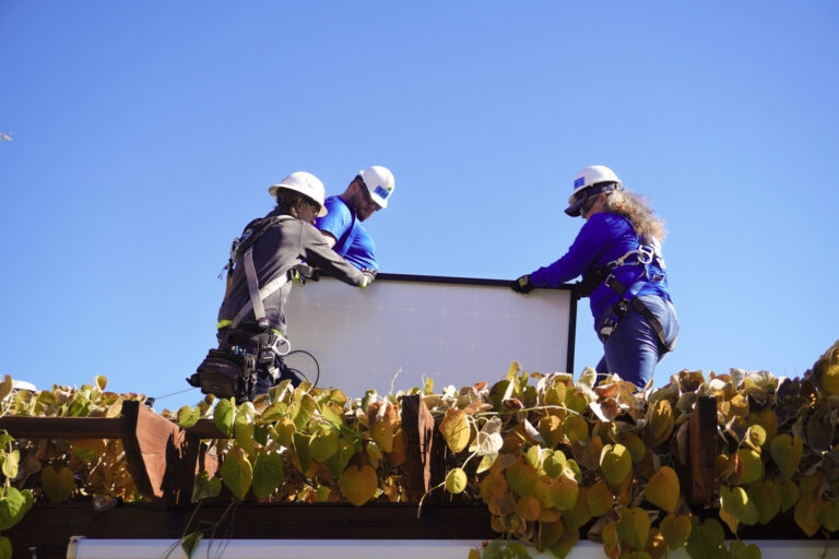 Four workers in hard hats and safety gear install solar panel on rooftop above plants