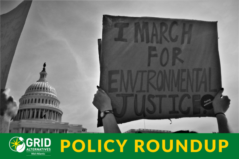 Protester holding sign reading "I March For Environmental Justice" at U.S. Capitol building