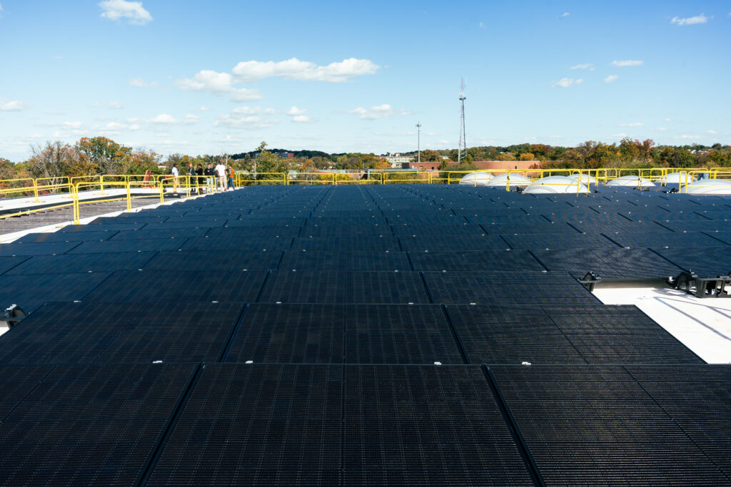 Sycamore and Oak - Solar Panels