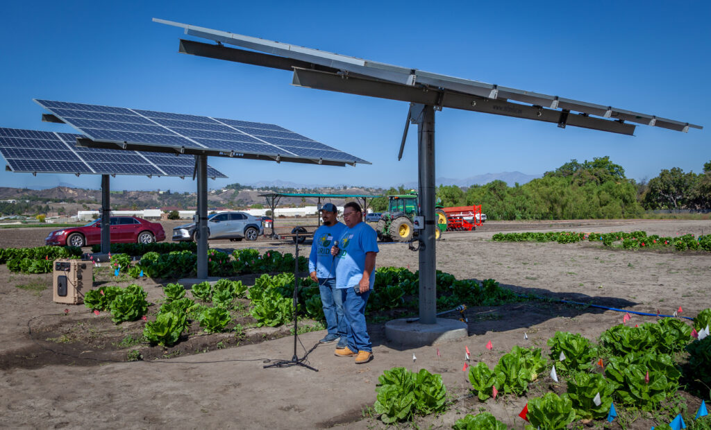Pitzer College Agrovoltaics Ribbon Cutting